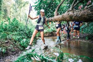 BIB: 
                            <button type="button" onclick="openModal(25515762)" class="btn btn-primary btn-sm float-right btn-popup" data-toggle="modal" data-target=".modal-high-quality">
                        <i class="fas fa-shopping-cart"></i> Add to Cart
                    </button>
                                            <button type="button" onclick="isThisMe(25515762, true)" class="btn btn-success btn-sm float-right btn-popup btn-isme hidden" data-toggle="tooltip" data-placement="bottom" title="นี่คือรูปของคุณใช่ไหม คลิกที่นี่เพื่อเอาเข้าอัลบั้ม">
                        <i class="fas fa-plus"></i> Add to album
                    </button>
                    <button type="button" onclick="isThisMe(25515762, false)" class="btn btn-warning btn-sm float-right btn-popup btn-isnotme hidden">
                        <i class="fas fa-ban"></i> Remove from album
                    </button>